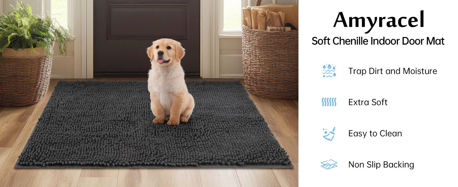 A little dog is sitting on the soft chenille indoor door mat.
