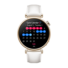 Atenção Especial à Saúde da Mulher