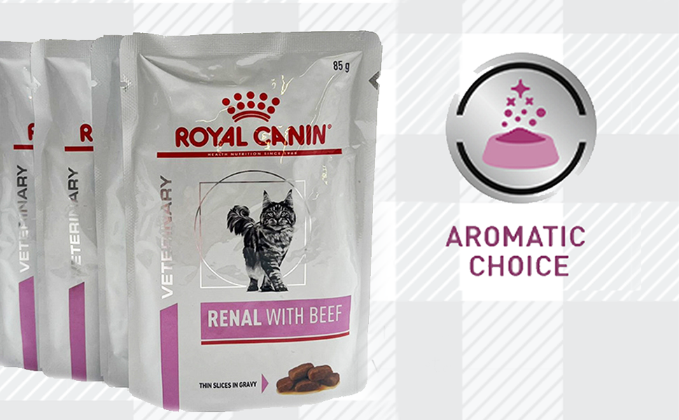 Renal With Beef Special Food Royal Canin