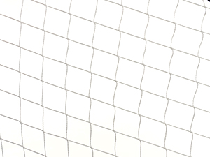 Net on Both Sides