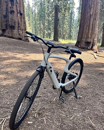 mens electric bike