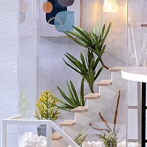 階段と緑の植物