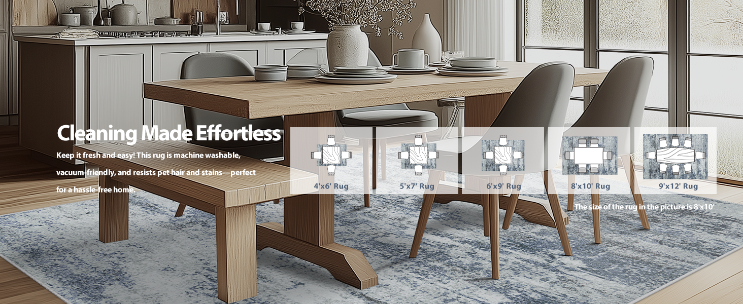 Area Rugs for Living Room