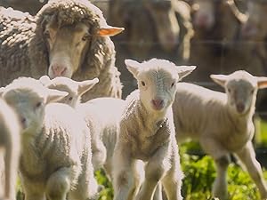 travel blanket winter for evening dresses office wedding plaid and solid color style birthdays