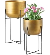 WHW Whole House Worlds Modernist Raised Planters, Set of 2, Gold Pots, Brushed Details, Black Sti...