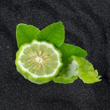 Bergamot Aromatherapy Shower Steamers