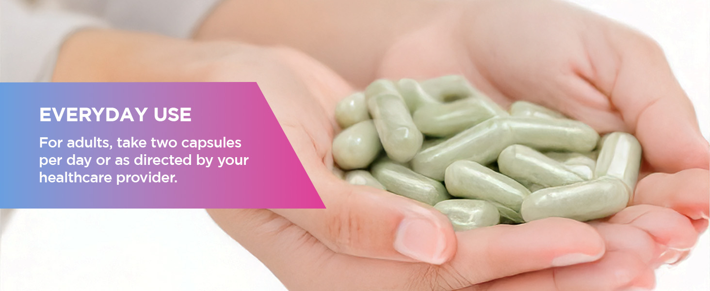Moringa Antioxidant Supplement Moringa Dietary Supplement