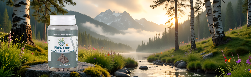 Serie von malerischen Außenaufnahmen, die Berglandschaften und Waldlandschaften bei Sonnenuntergang oder Sonnenaufgang zeigen