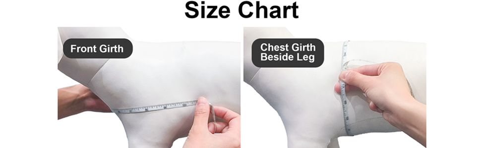 dog harness size chart
