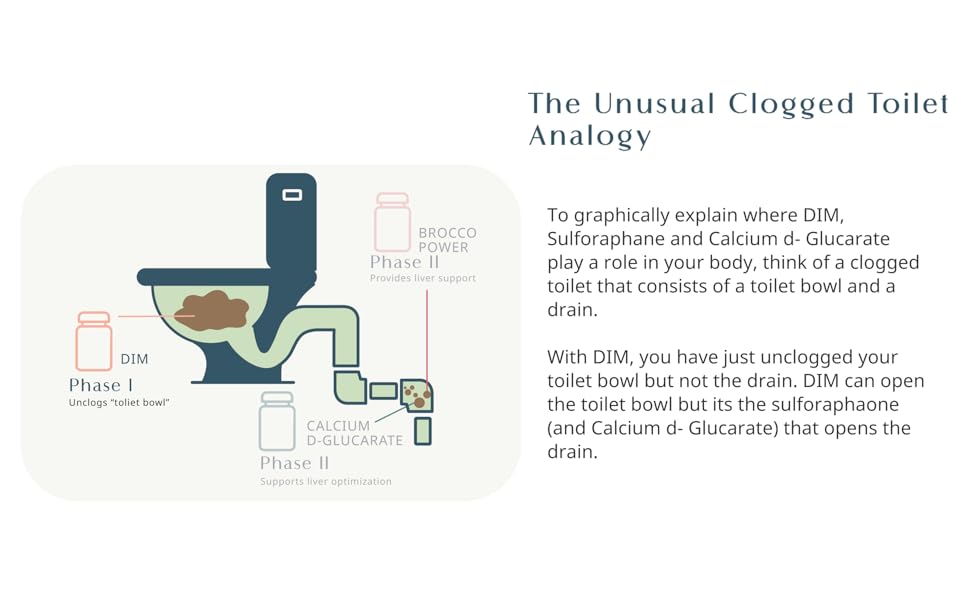 unclogged toilet