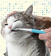 cat toothbrush