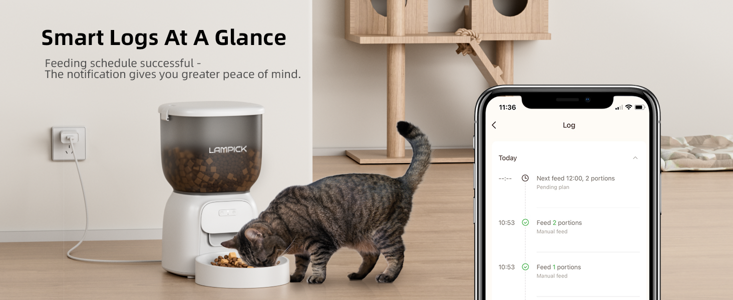 aotomatic cat feeder