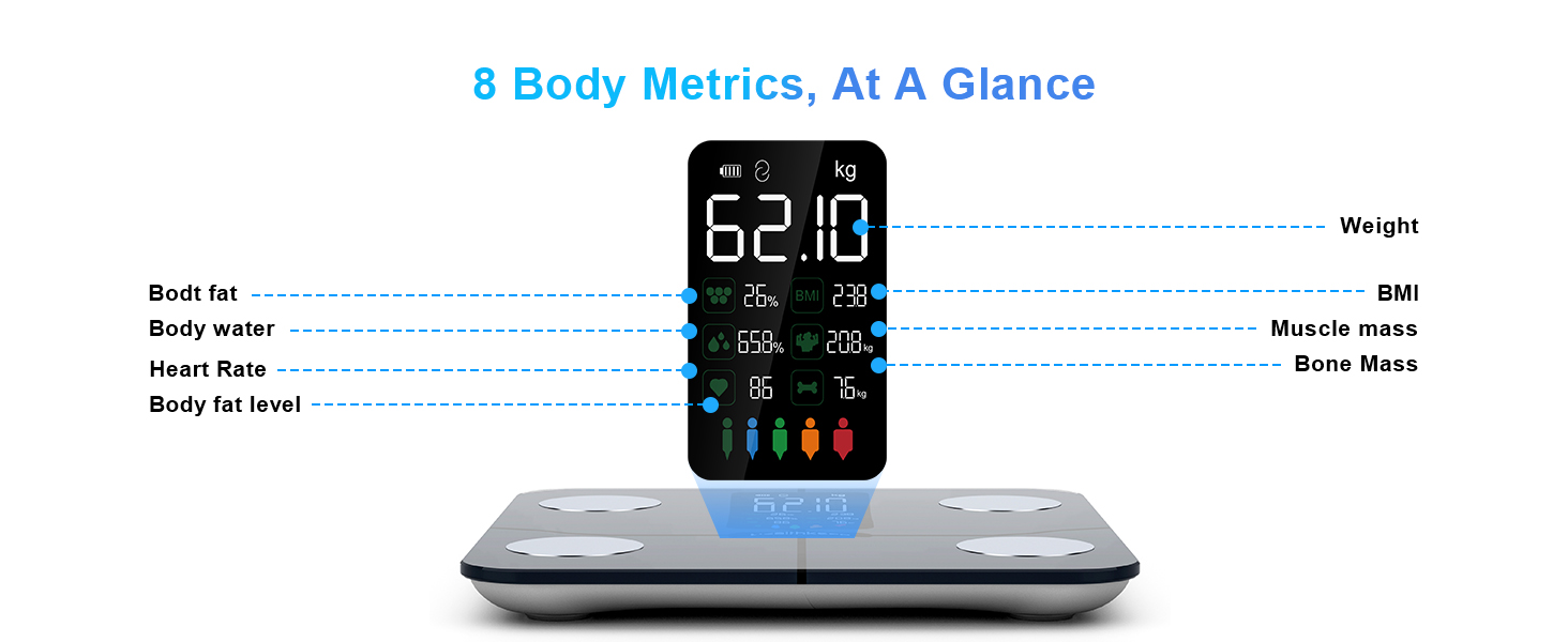 weight scale