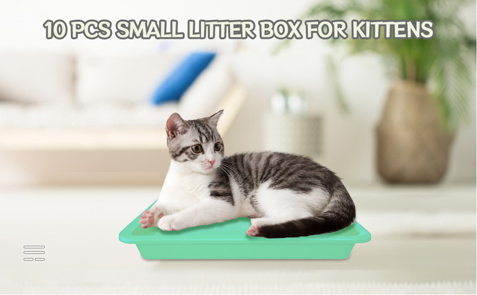 10 Pcs Small Litter Box for Kittens,Plastic Portable Small