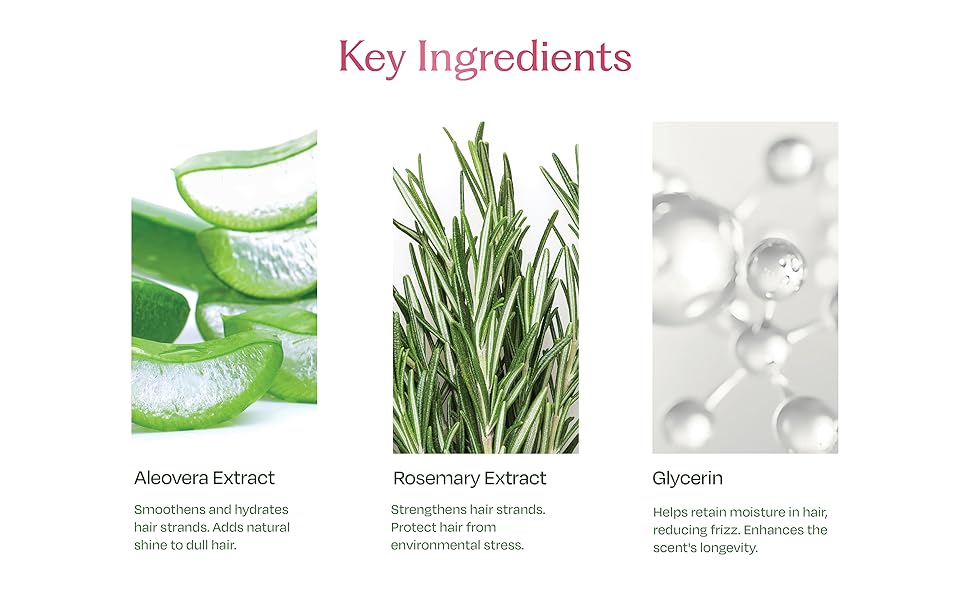 Key Ingredients