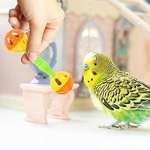 Parrot Toys