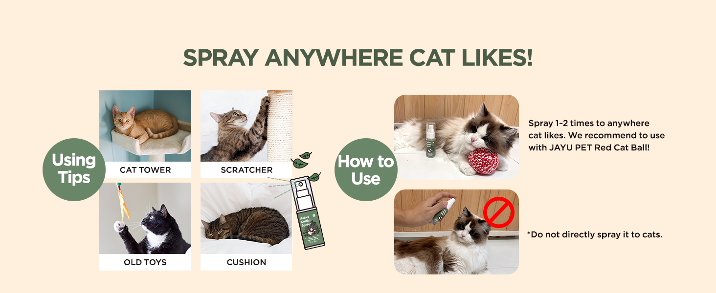 Catnip Spray