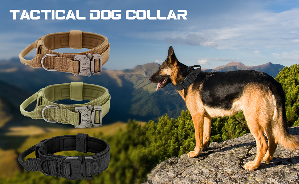 Tactical Dog Collar