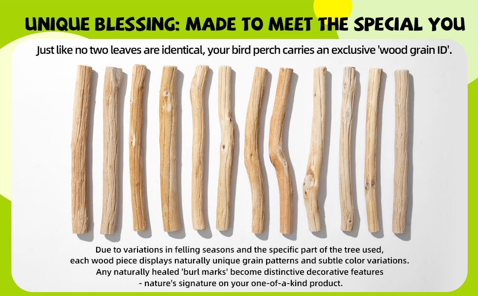 UNIQUE BLESSING: MADE TO MEET THE SPECIAL YOU