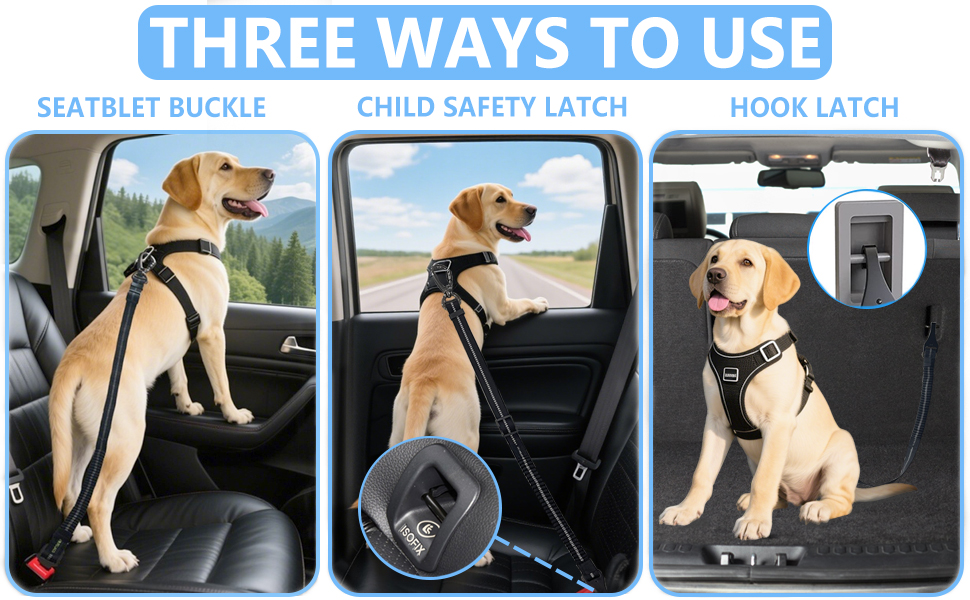 seat belt for dogs in car