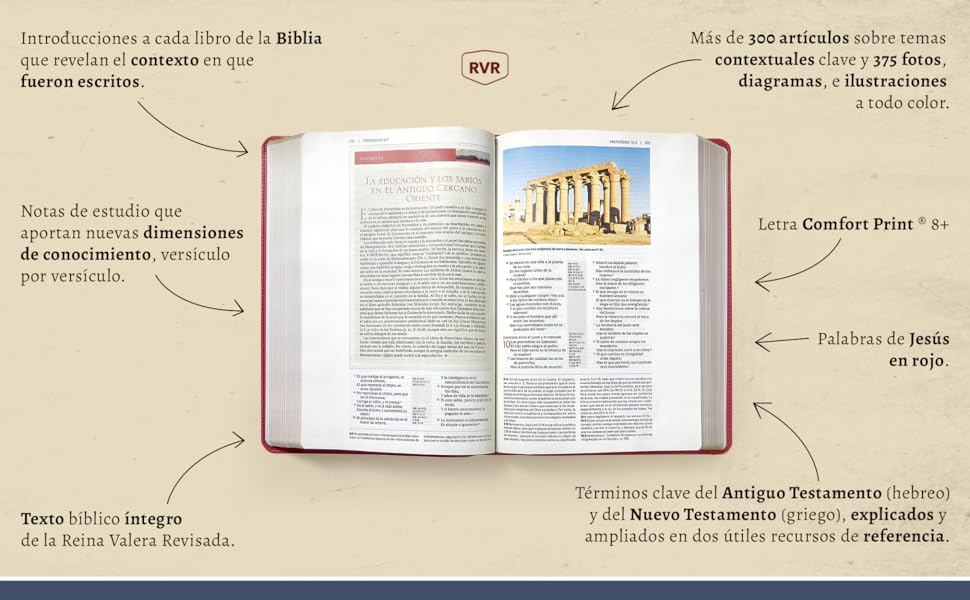 RVR, Biblia de estudio trasfondo cultural (El contexto lo