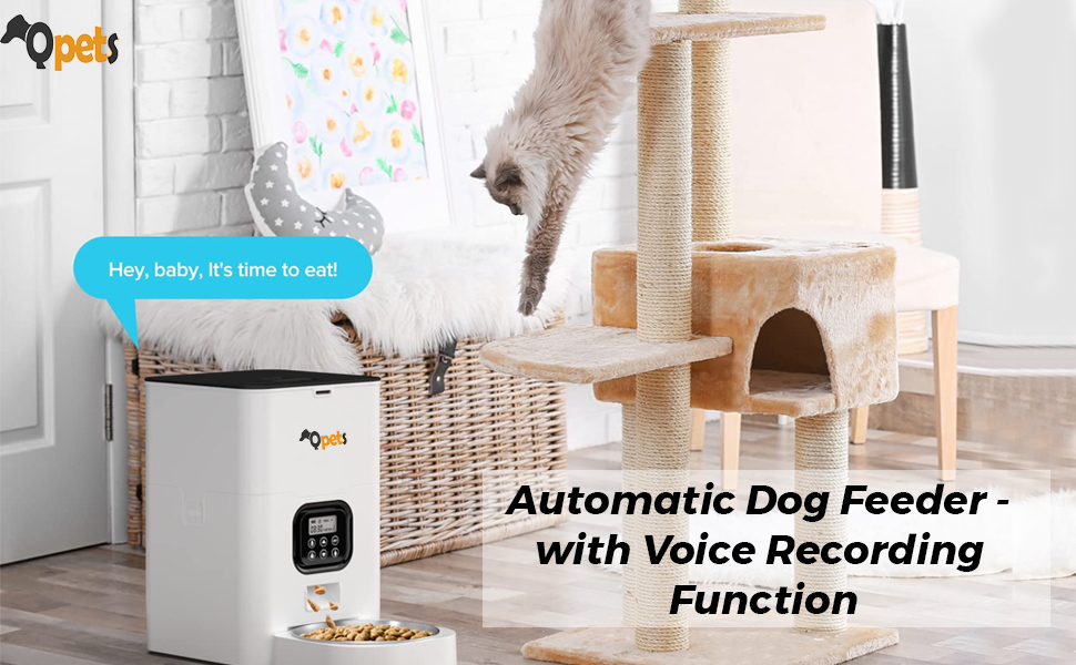 Buy Qpets Acrylonitrile Butadiene Styrene, Automatic Dog Feeder, 6L Dog