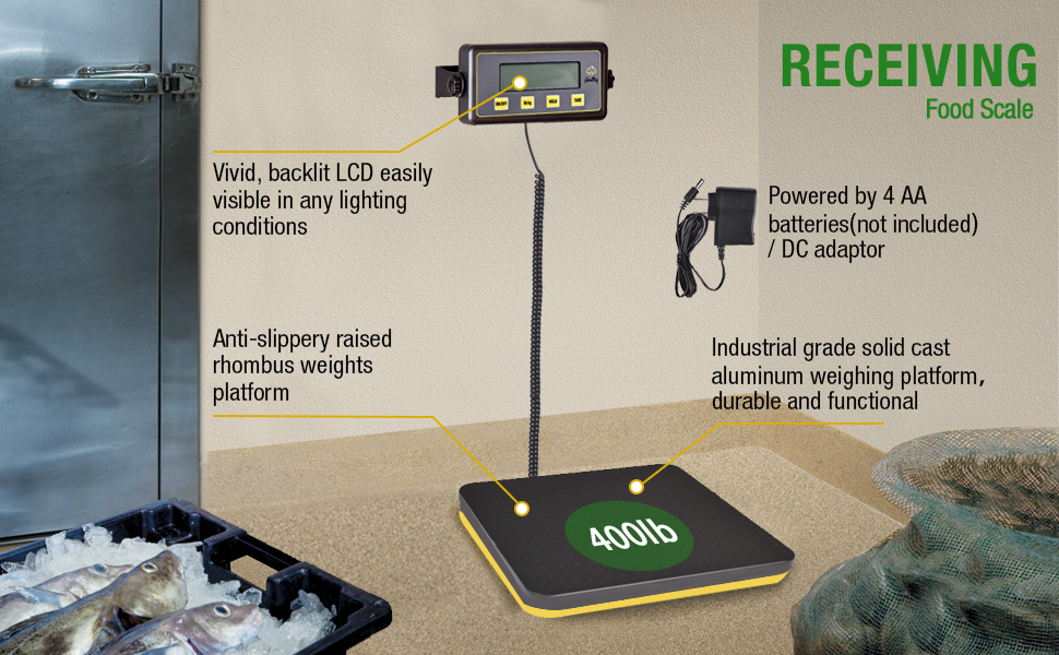 Digital Receiving Scale