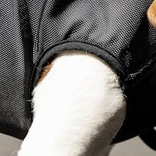 Padded Leg Design - No Constriction