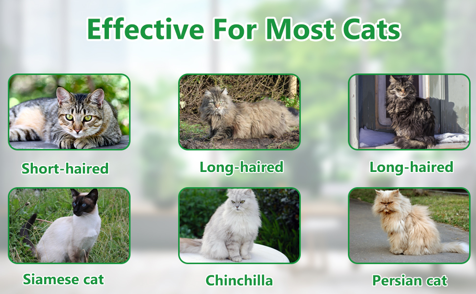 HARRINGTONS Cat Deterrent Outdoor, 10 Pack Natural