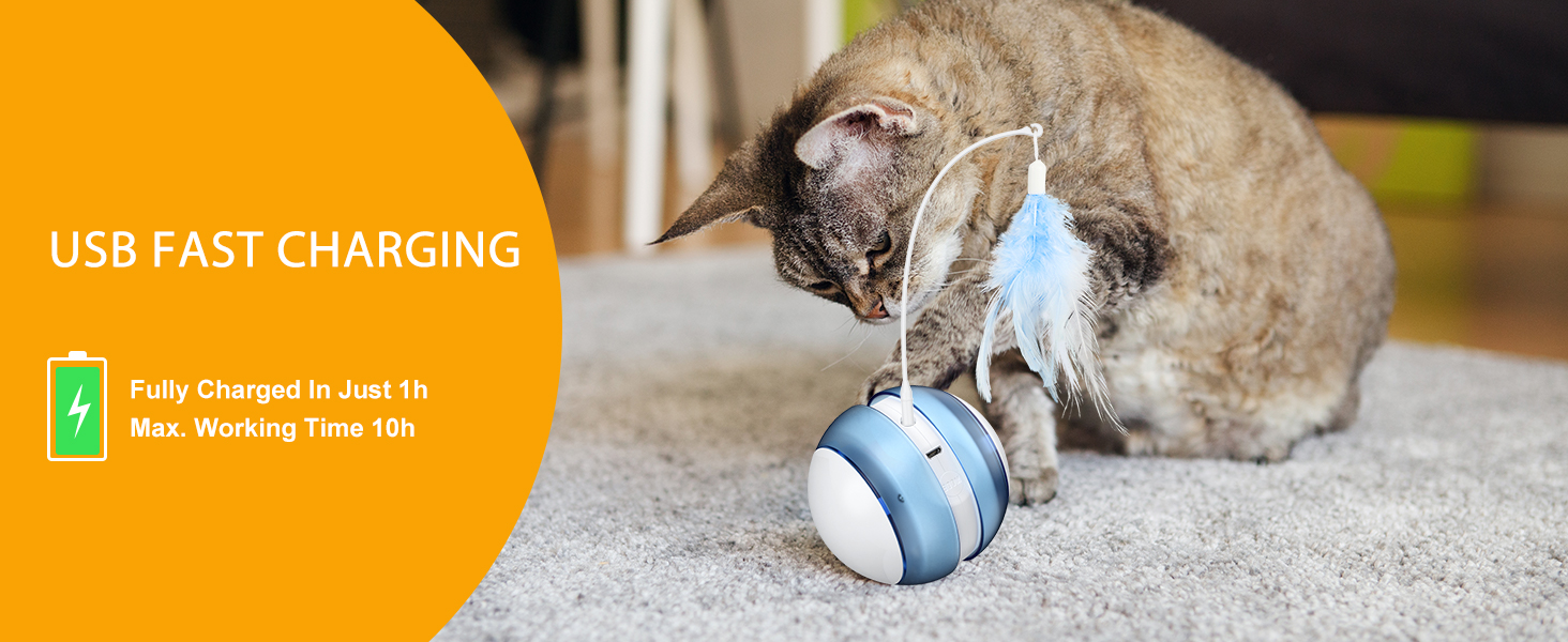 Amyzavls Interactive Cat Toys for Indoor Cats Kitten/Adult, Automatic