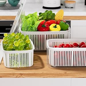 food storage containers for fridge