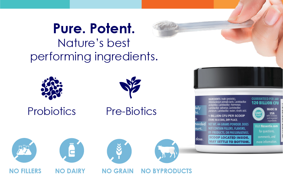 probiotic ingredients prebiotics