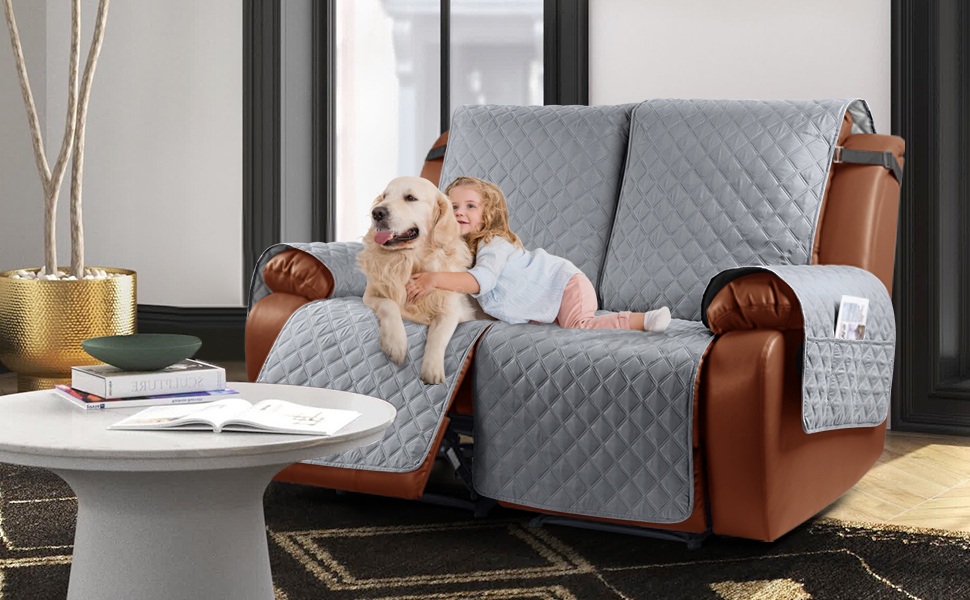 couch cover for dogs