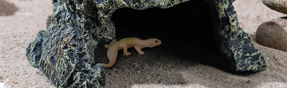 Reptile rock hide cave
