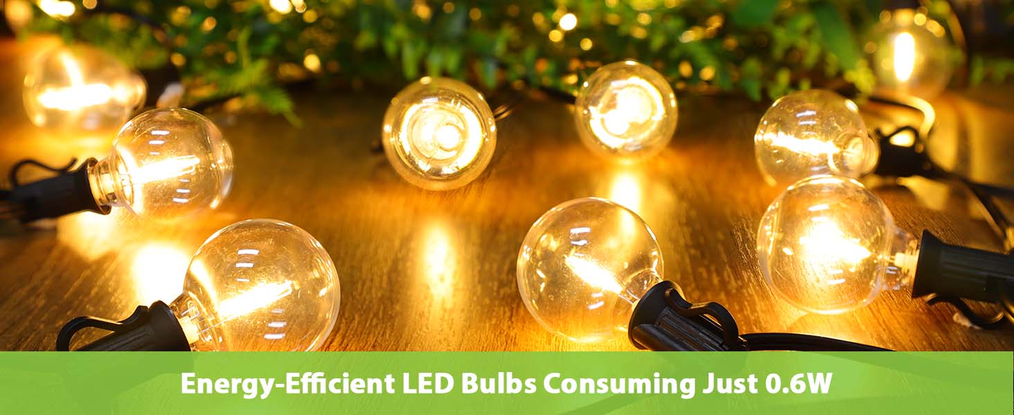 G40 Outdoor String Lights 25ft Decorative LED Bulbs