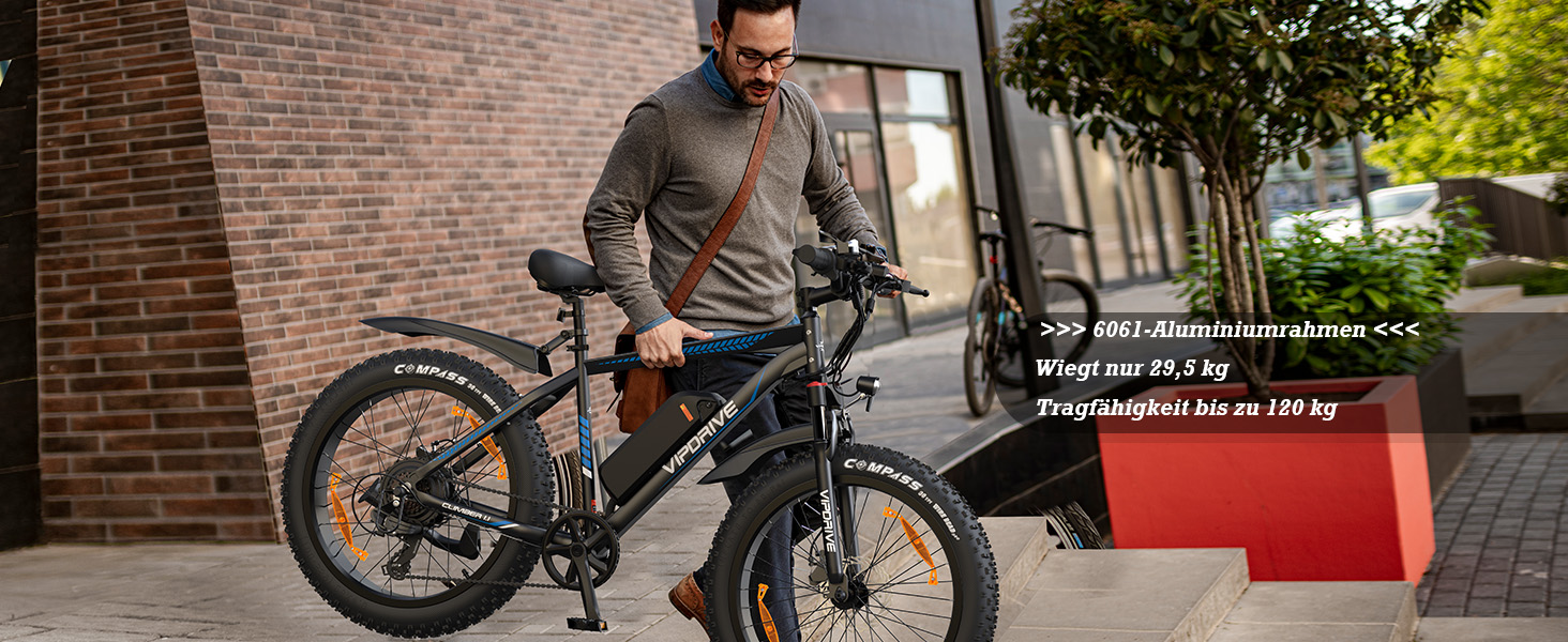 elektrofahrrad damen