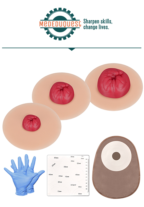 Stoma Training Model