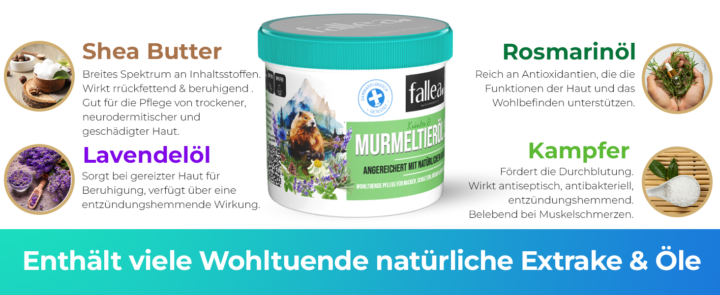 murmeltiersalbe kampfer schmerzen gicht knieschmerzen murmelin fersenspor gelenksalbe lavendelsalbe