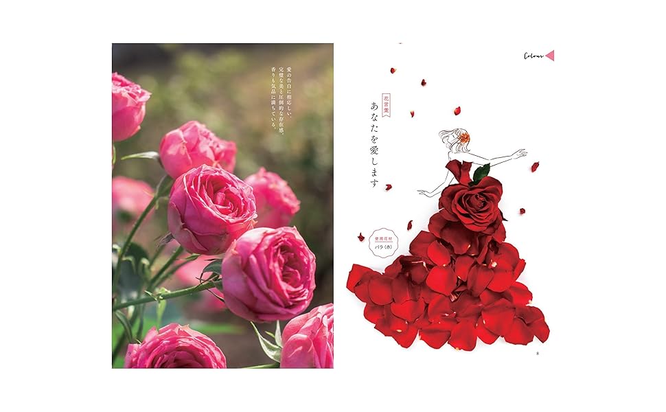 Qn1dztc4y3f Xm Qn1dztc4y3f Xm