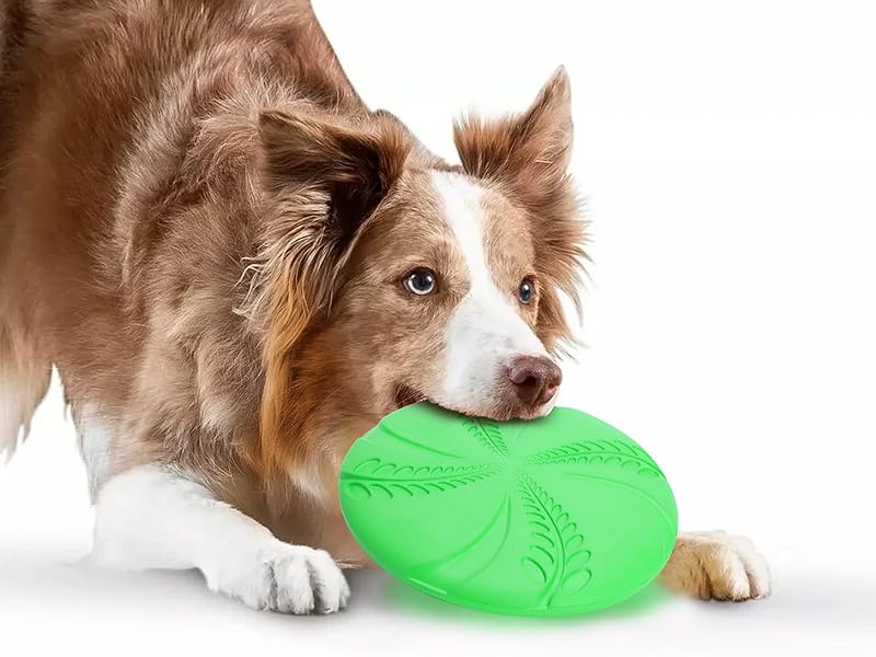 Hundefrisbee