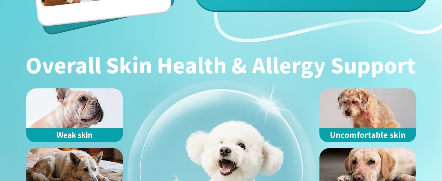 overall skin health and allergy support