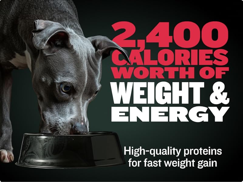 2,400 Calories worth of weight & energy with high-quality proteins for fast weight gain