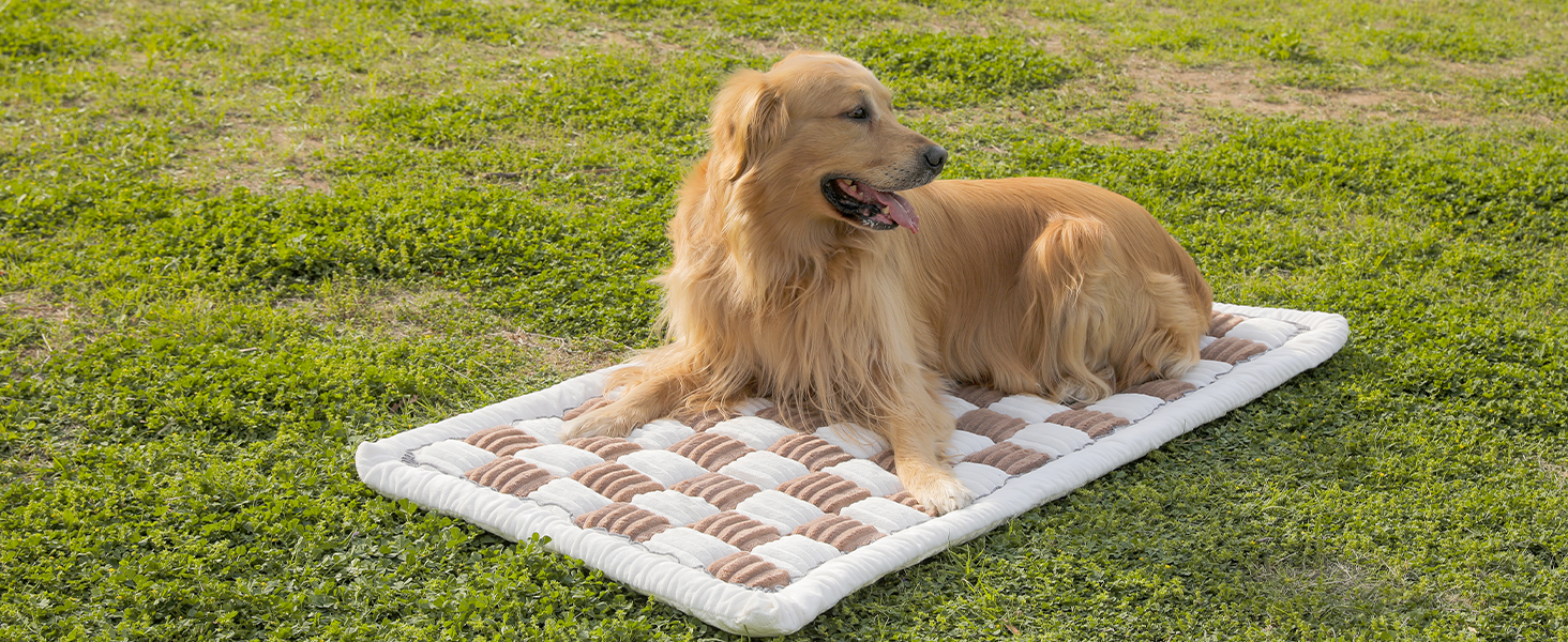 pet mat