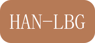 HAN-LBG shoulder bag