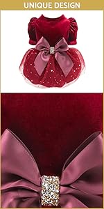 Fancy Tulle Dress B0BDRSGP5G