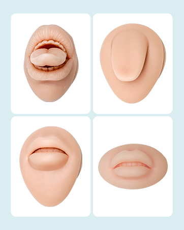 silicone model