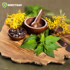 Small manufacture image 6