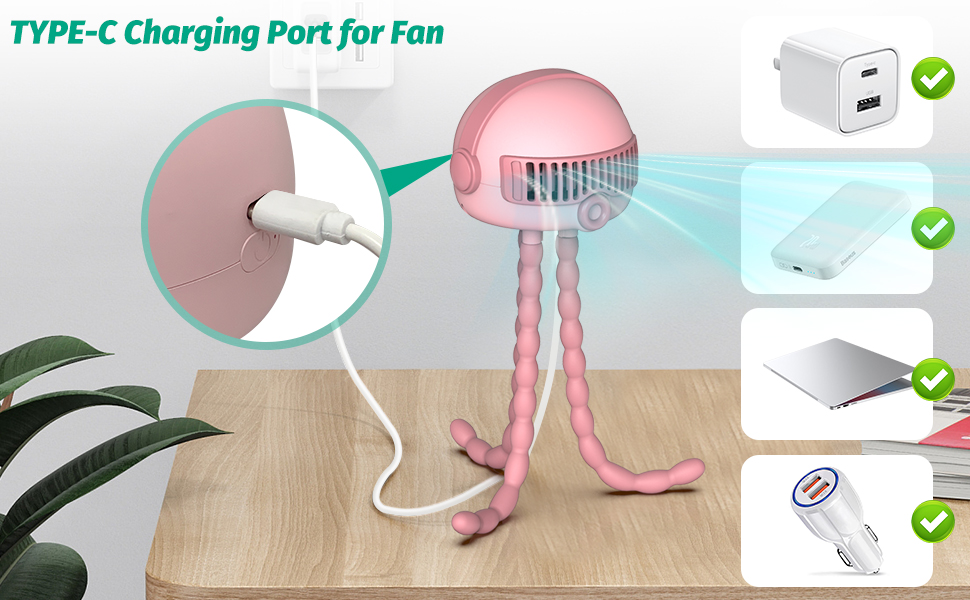 Type-c charging port for fan