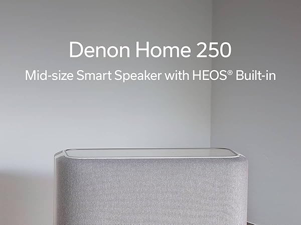 Amazon.com: Denon Home 250 Wireless Smart Speaker – Mid-Size