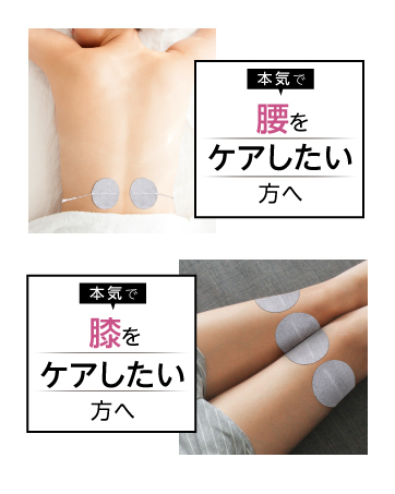 Amazon.co.jp: 【正規品】シェイプメイト 交換用粘着パッド4組（4枚